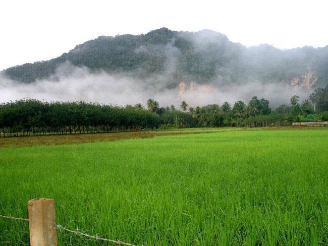 Naris Phuview Resort Satun Exterior photo